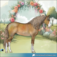 Horse Color:Chocolate Palomino Dun 