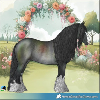 Horse Color:Black Rabicano 