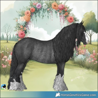 Horse Color:Black Rabicano 