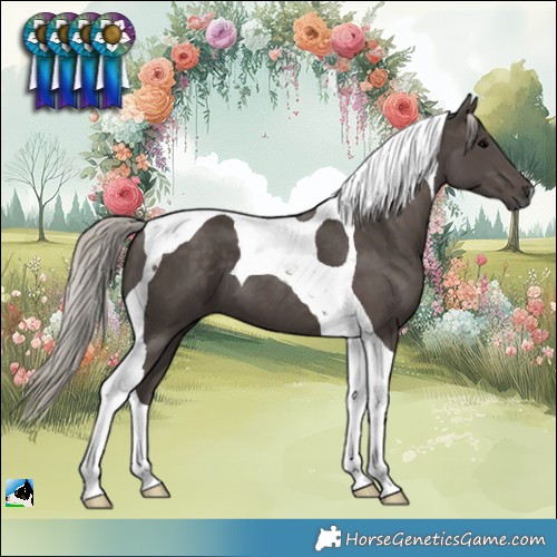 Horse Color:Silver Black Tobiano