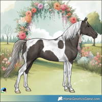 Horse Color:Silver Black Tobiano 