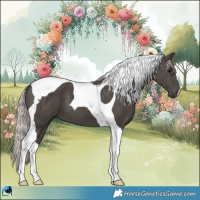 Horse Color:Silver Black Tobiano 