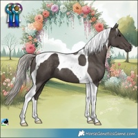Horse Color:Silver Black Tobiano 