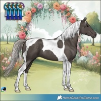 Horse Color:Silver Black Tobiano