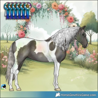Horse Color:Silver Black Tobiano 