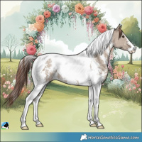 Horse Color:Liver Red Dun Sabino Tobiano