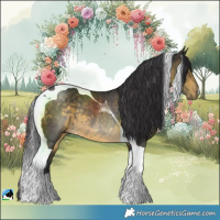 Horse Color:Buckskin Tobiano Rabicano