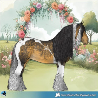Horse Color:Buckskin Tobiano Rabicano