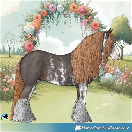 Horse Color:Liver Chestnut Sabino