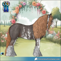 Horse Color:Liver Chestnut Sabino 