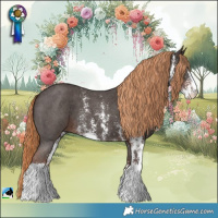 Horse Color:Liver Chestnut Sabino 