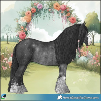 Horse Color:Black Rabicano 