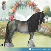 Horse Color:Black Rabicano 