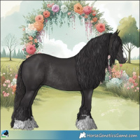 Horse Color:Smoky Black Rabicano 