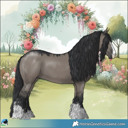 Horse Color:Grullo Mushroom Sabino
