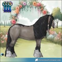 Horse Color:Grullo Mushroom Sabino 