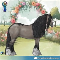 Horse Color:Grullo Mushroom Sabino