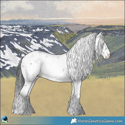 Horse Color:Grullo Sabino Brindle 