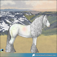 Horse Color:Grullo Sabino Brindle 