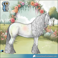 Horse Color:Grullo Mushroom Sabino Splash 