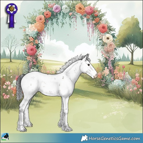 Horse Color:Brown Dun Mushroom Sabino 