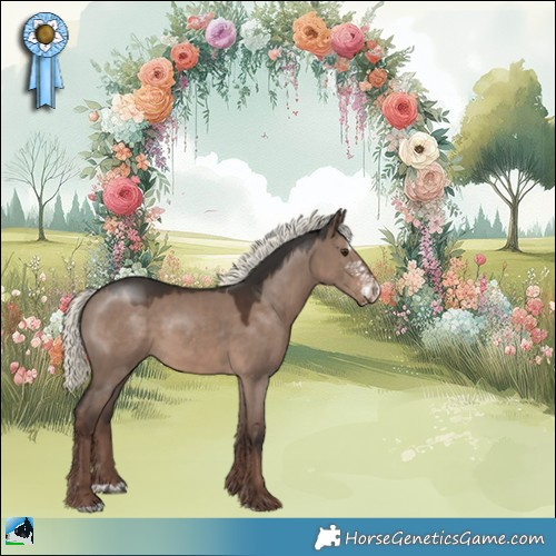 Horse Color:Liver Red Dun Mushroom Sabino 