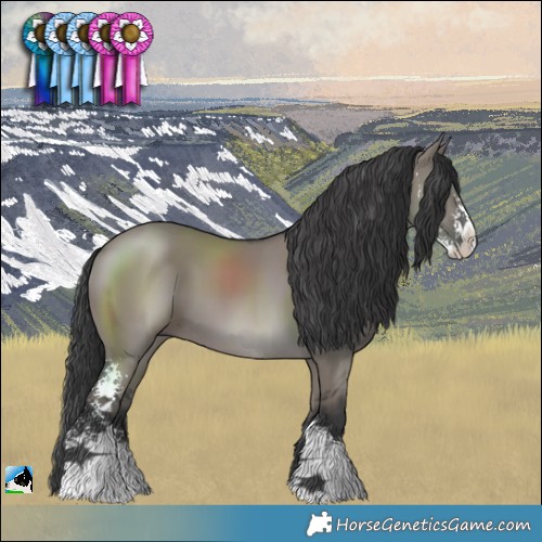 Horse Color:Grullo Mushroom Sabino 