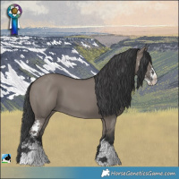 Horse Color:Grullo Mushroom Sabino