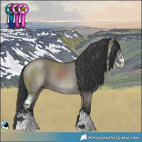 Horse Color:Grullo Mushroom Sabino 