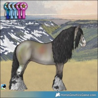 Horse Color:Grullo Mushroom Sabino
