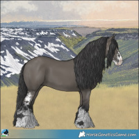 Horse Color:Grullo Mushroom Sabino 