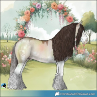 Horse Color:Classic Champagne Dun Sabino Splash Rabicano 