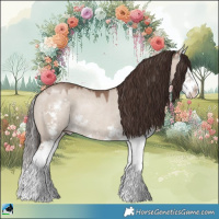 Horse Color:Classic Champagne Dun Sabino Splash Rabicano