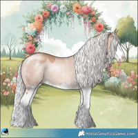 Horse Color:Gold Champagne Dun Mushroom Sabino Splash Rabicano 