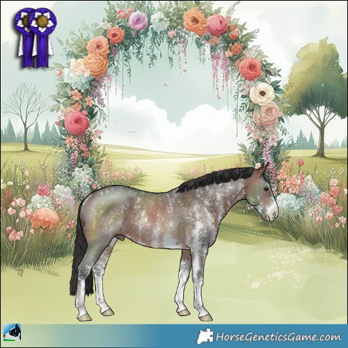 Horse Color:Brown Sabino Rabicano 