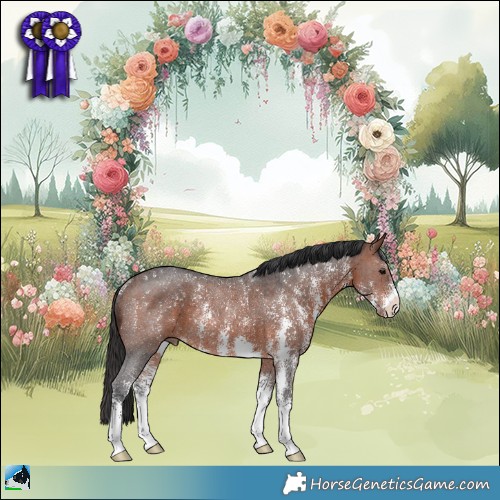 Horse Color:Brown Sabino Rabicano 