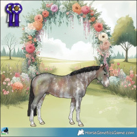 Horse Color:Brown Sabino Rabicano 