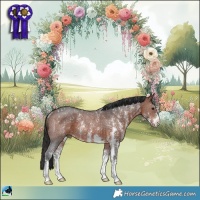 Horse Color:Brown Sabino Rabicano