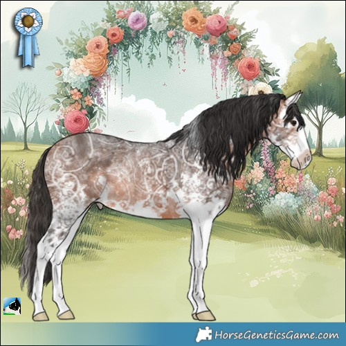 Horse Color:Bay Ice Sabino Splash Rabicano 