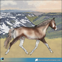 Horse Color:Liver Red Onyx Mushroom 