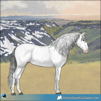 Horse Color:Black Sabino 