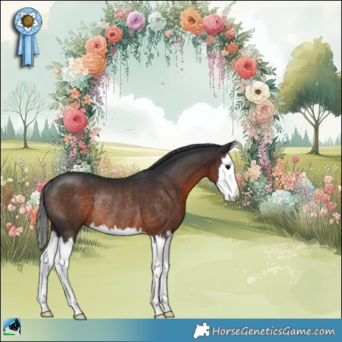 Horse Color:Brown Splash Rabicano 