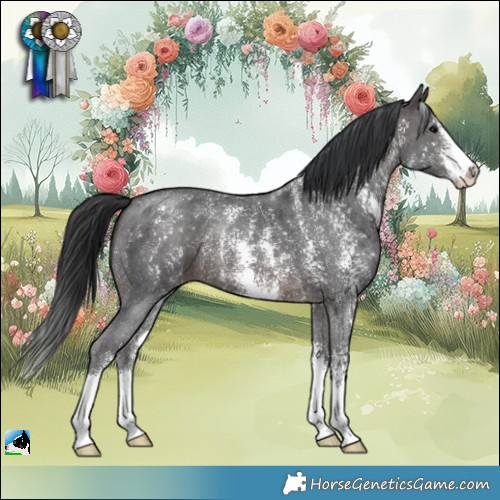 Horse Color:Brown Sabino 