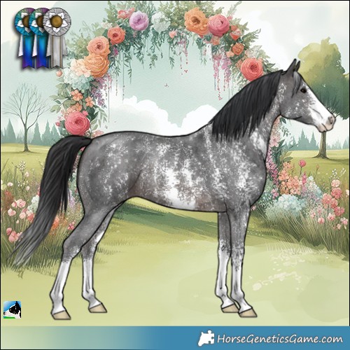 Horse Color:Brown Sabino 
