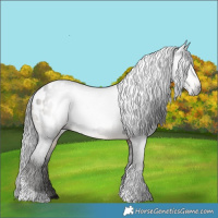 Horse Color:Gray Buckskin Tobiano Blanket 