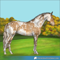 Horse Color:Silver Smoky Creme Dun Tobiano Blanket  and Chocolate Palomino Dun Tobiano Snowflake Varnish 