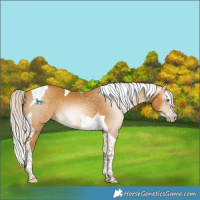 Horse Color:Gray Silver Amber Cream Champagne Splash Tobiano 