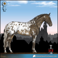 Horse Color:White Spotted Silver Buckskin Appaloosa