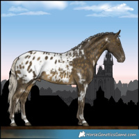 Horse Color:White Spotted Silver Buckskin Appaloosa 
