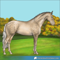 Horse Color:Silver Buckskin Pearl 